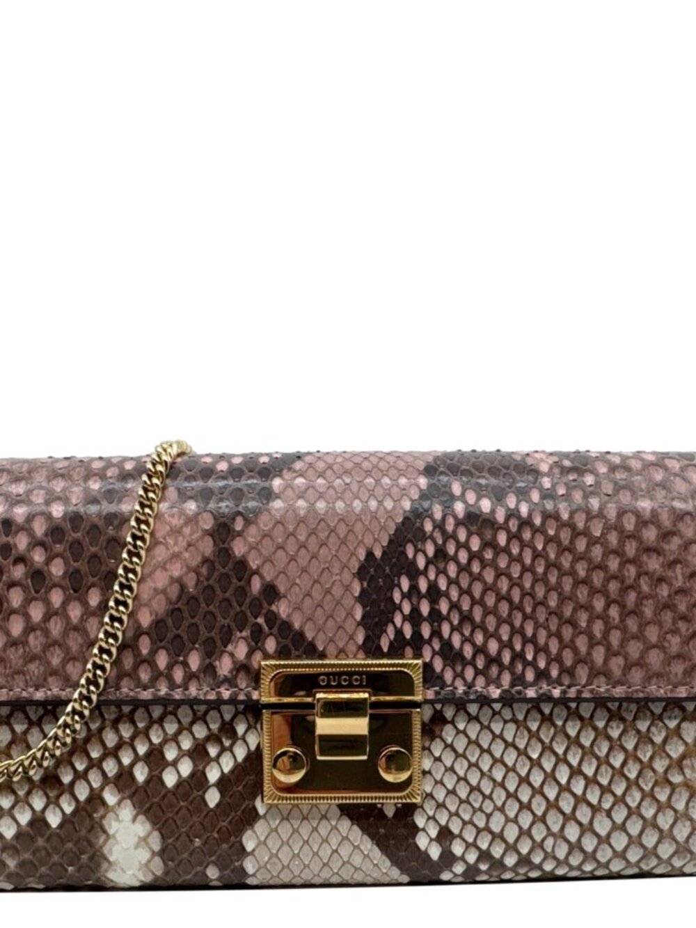Gucci Padlock Python Leather Wallet On Chain Multicolor 453506